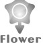 flower2